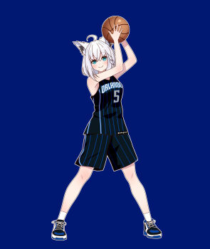 Basketball (Object) Rule 34 Image