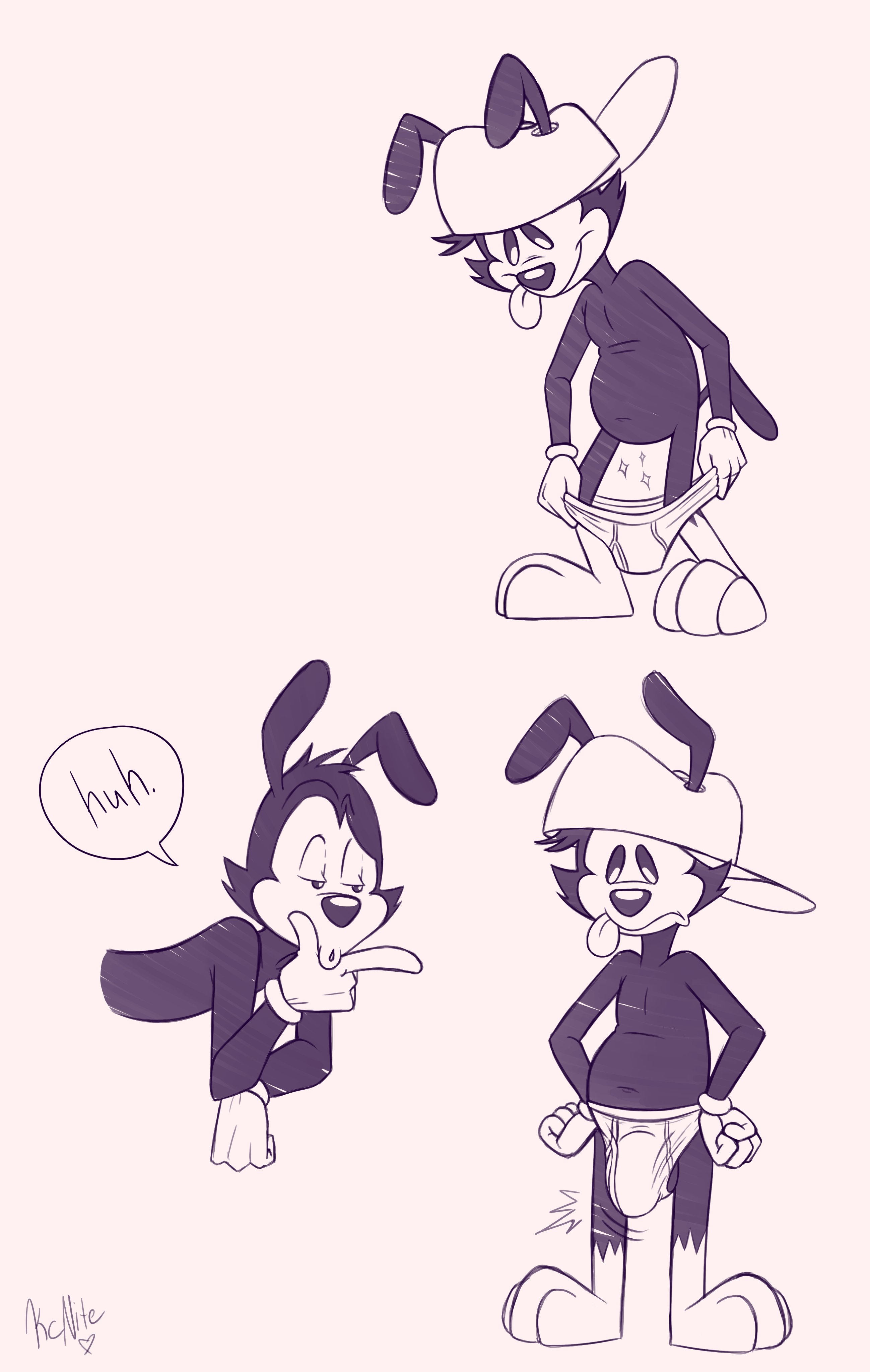 Wakko Warner (Amblin Entertainment) Rule 34 Image