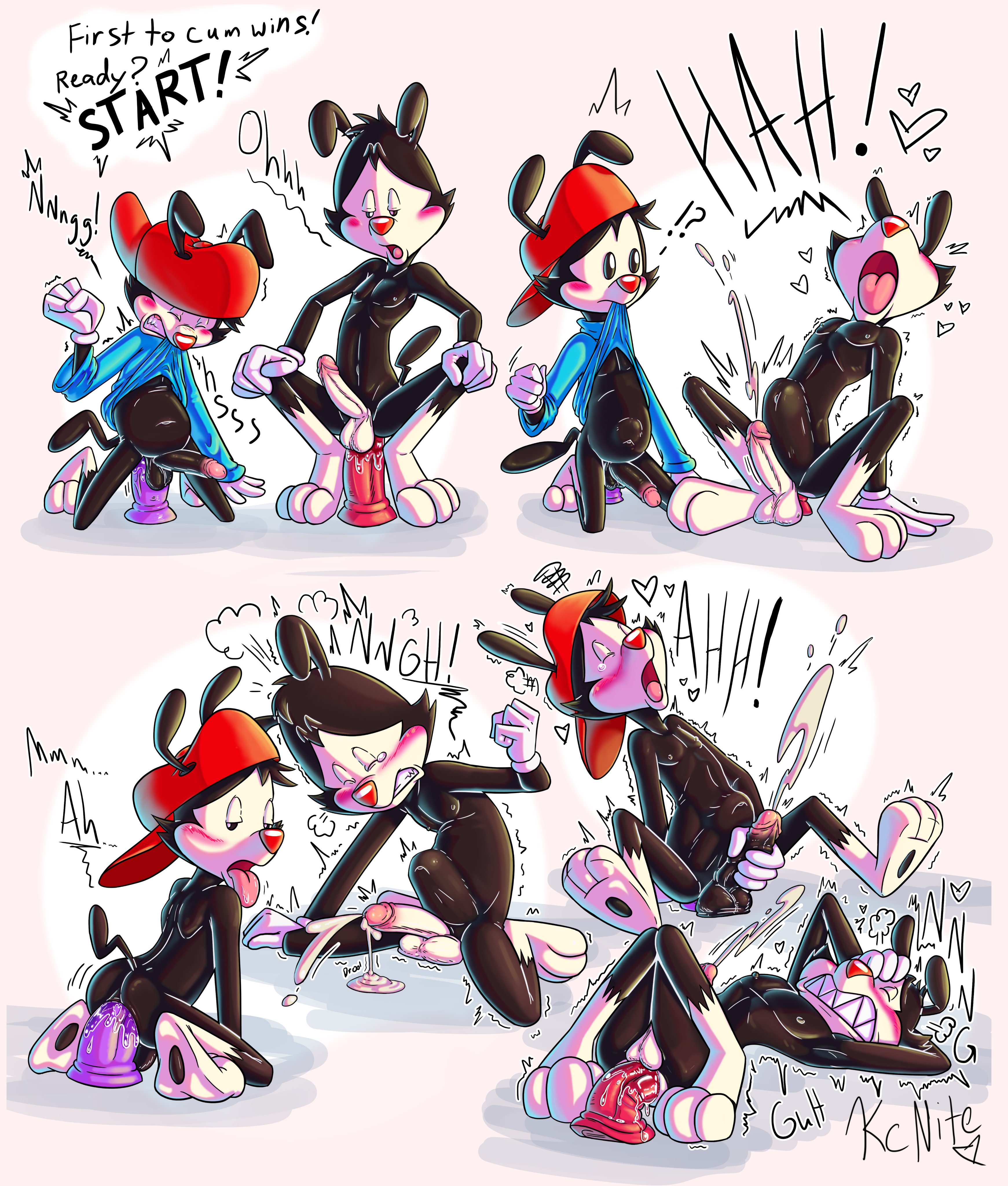 Wakko Warner (Animaniacs) Rule 34 Image