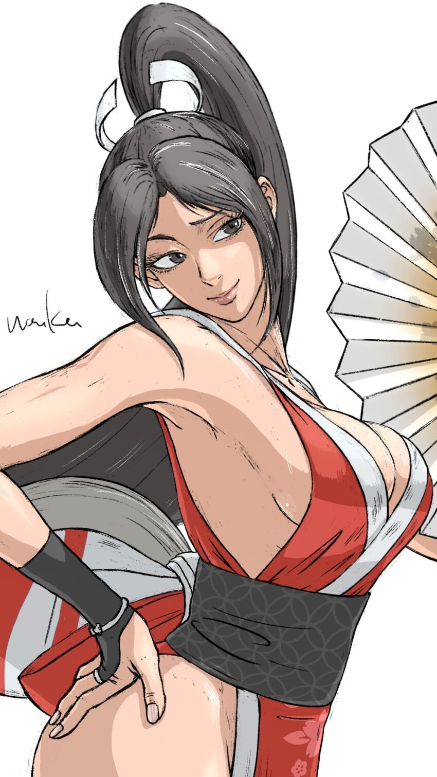 Fatal Fury Rule 34 Image