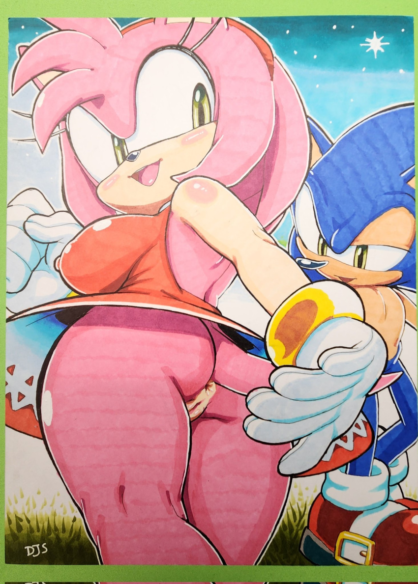 Amy Rose (Sonic (Series)) Rule 34 Image