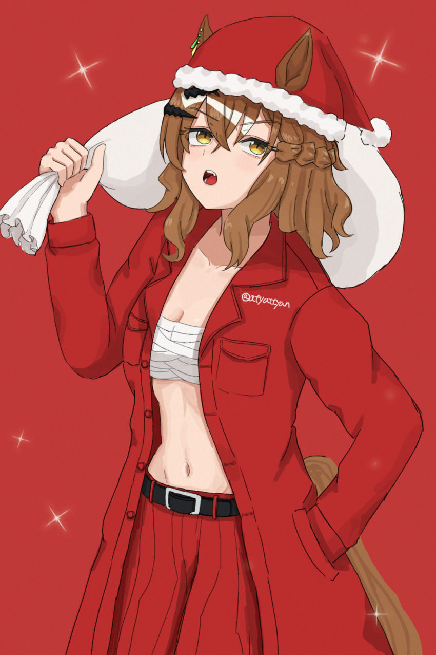 Jungle Pocket (Umamusume) Rule 34 Image