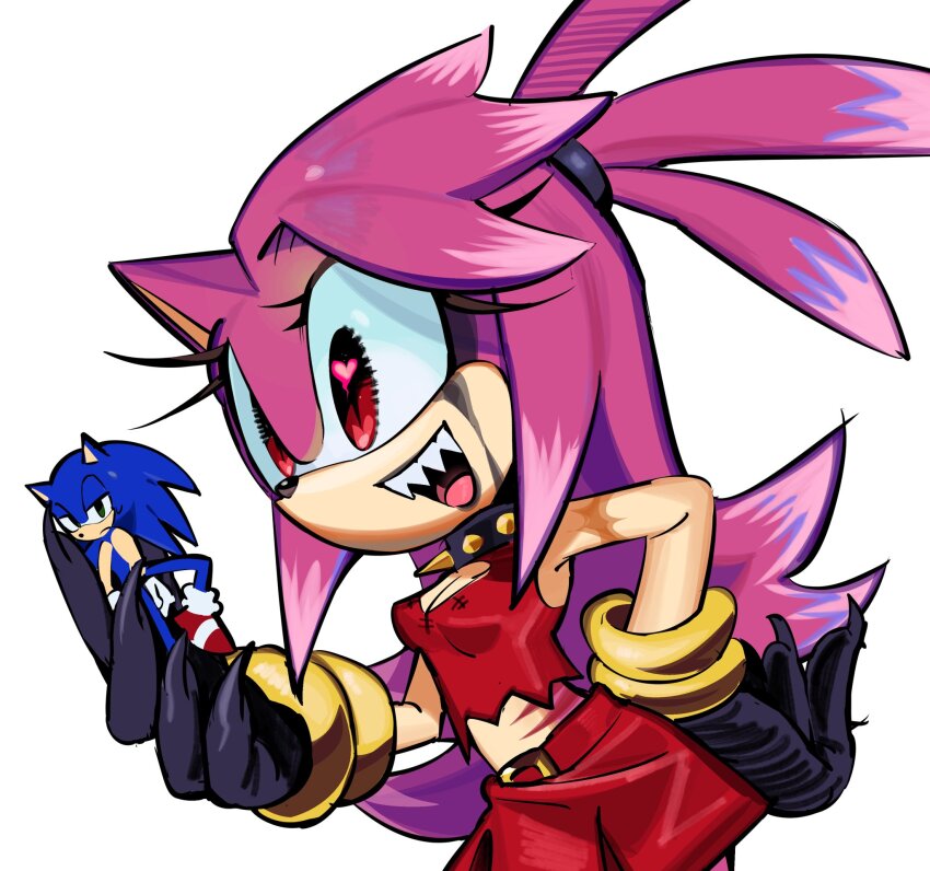 Amy Rose (Sonic (Series)) Rule 34 Image