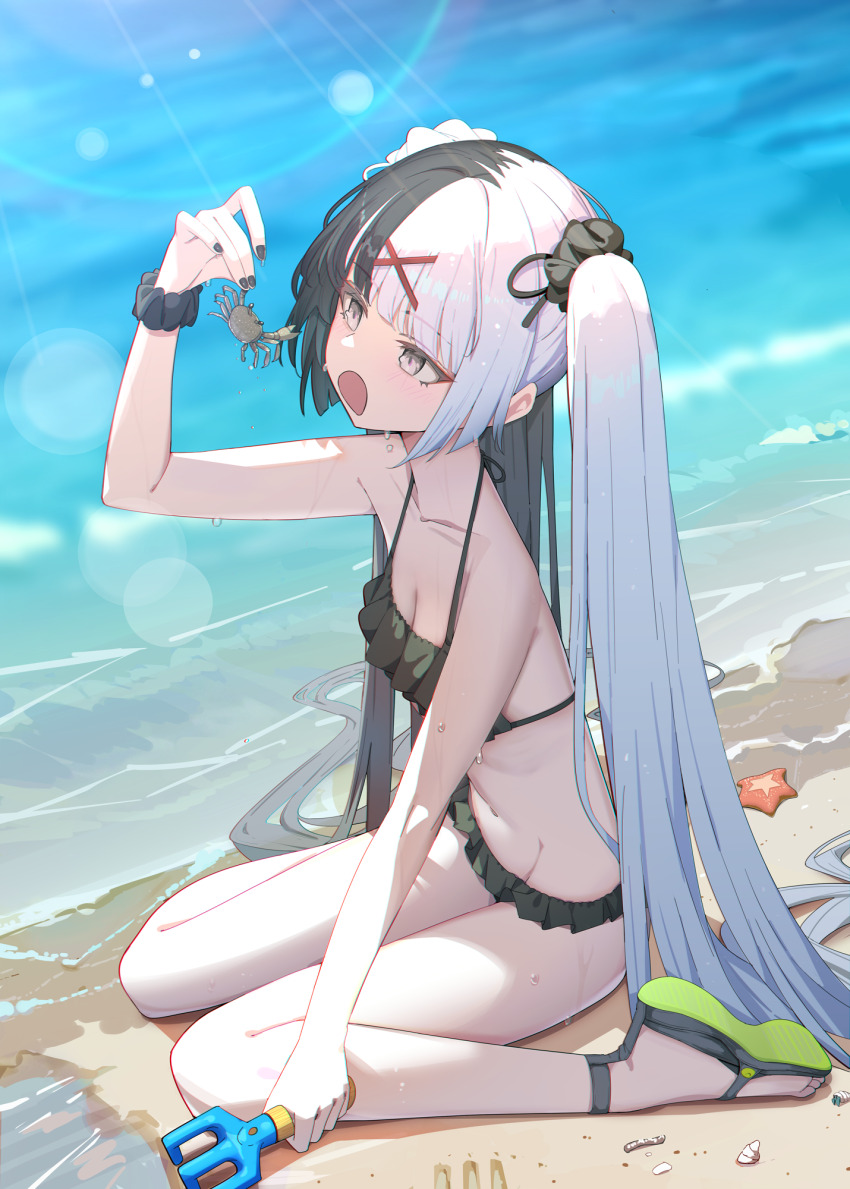 Shell (Original) Rule 34 Image