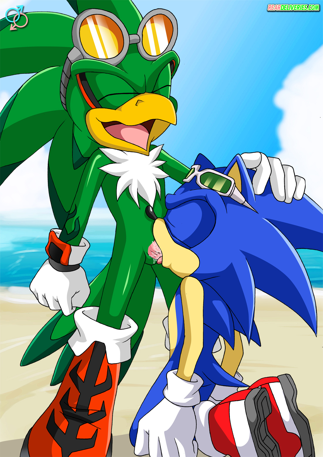 Jet The Hawk (Sonic (Series)) Rule 34 Image