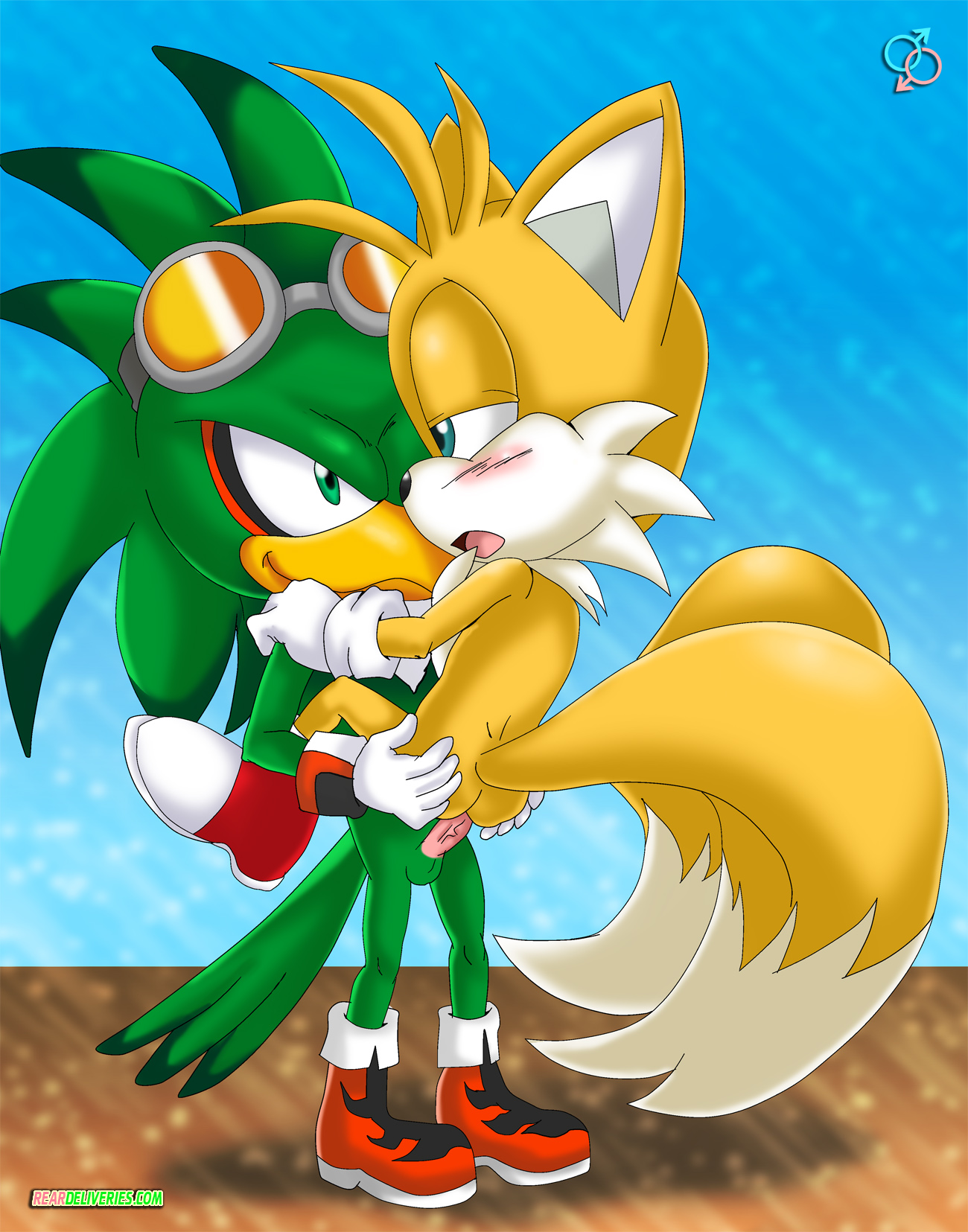 Jet The Hawk (Sonic (Series)) Rule 34 Image