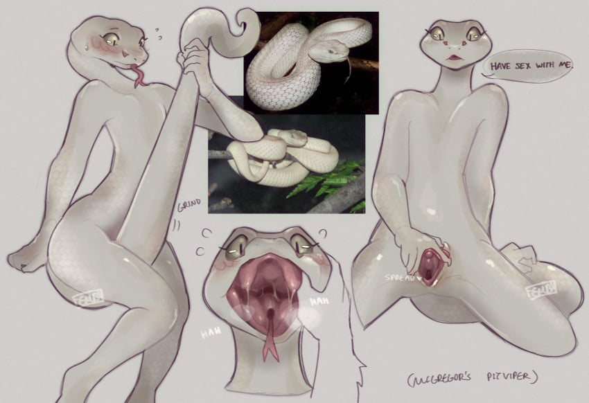 Viper (Species) Rule 34 Image