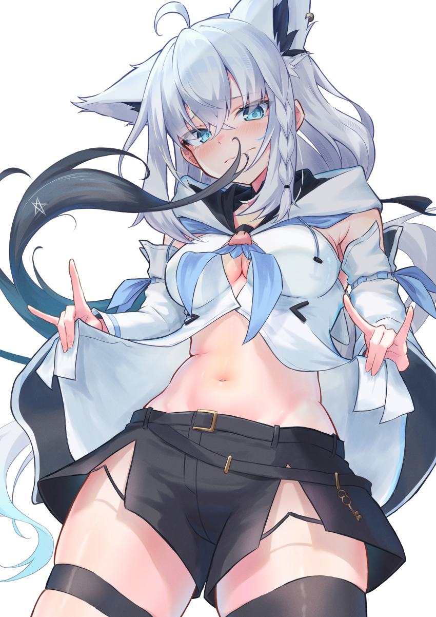 Shirakami Fubuki (Hololive) Rule 34 Image