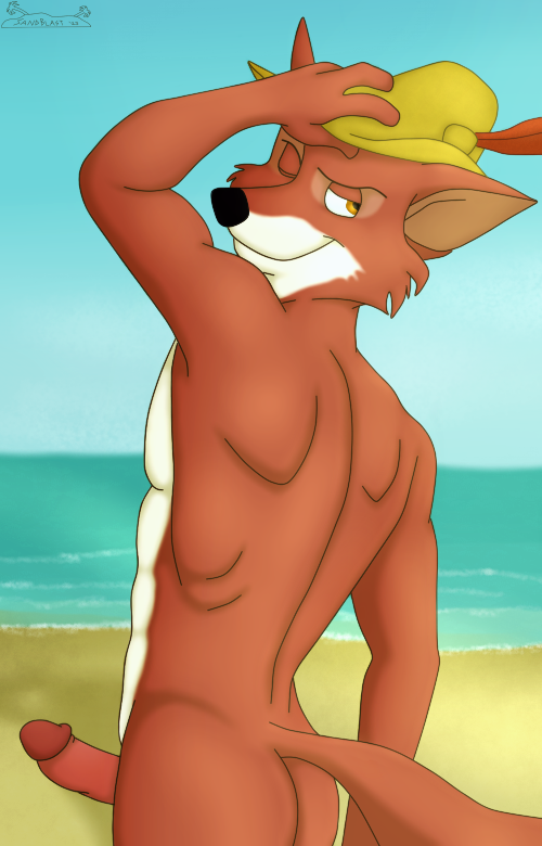 Robin Hood (Disney) Rule 34 Image