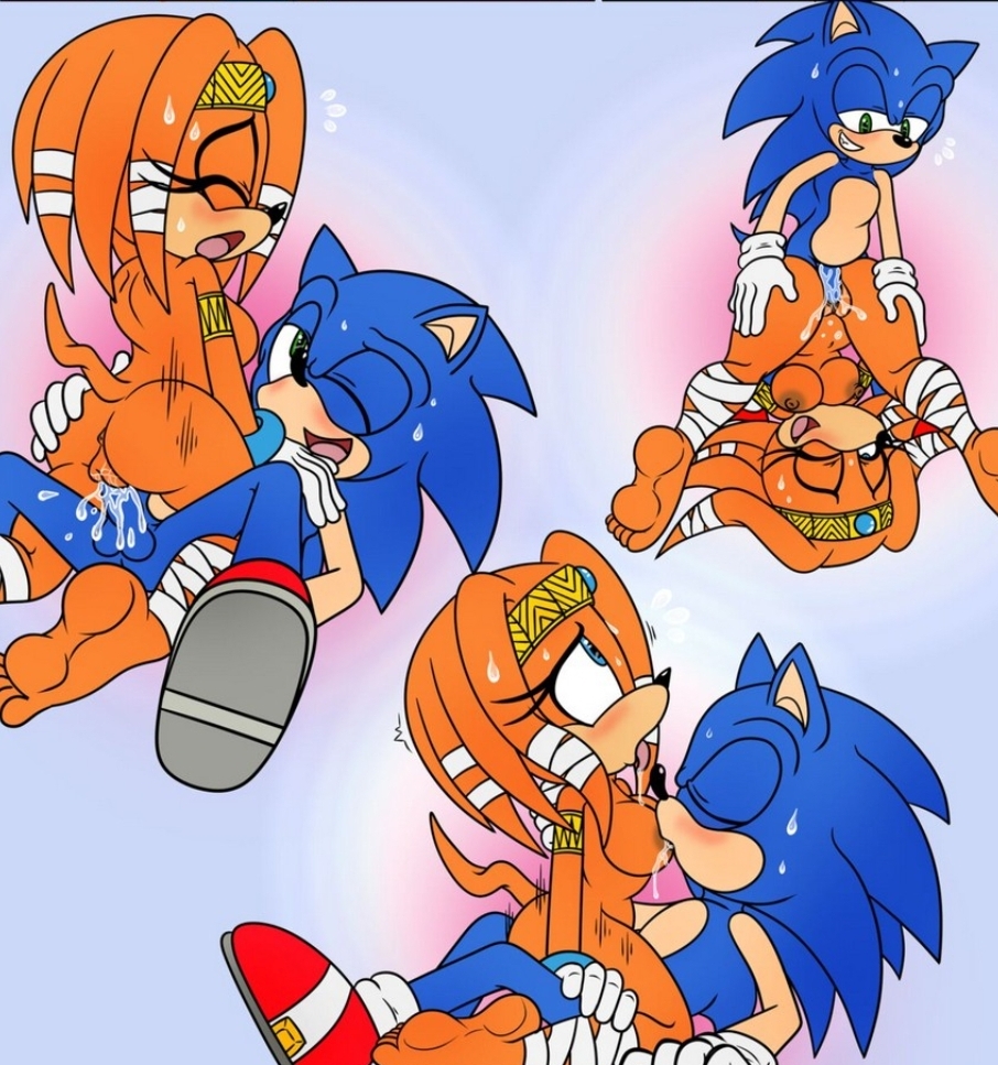 Sonic The Hedgehog (Sonic (Series)) Rule 34 Image