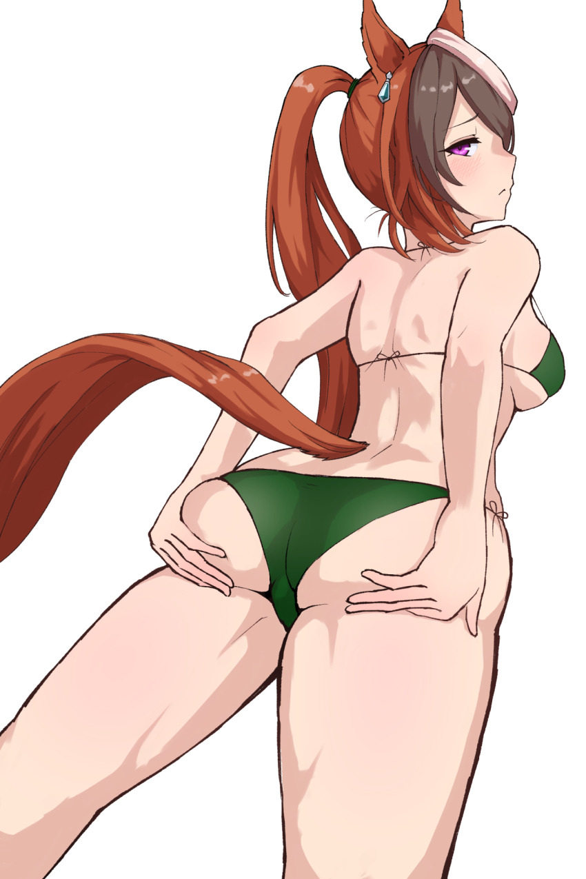 Symboli Rudolf (Umamusume) Rule 34 Image