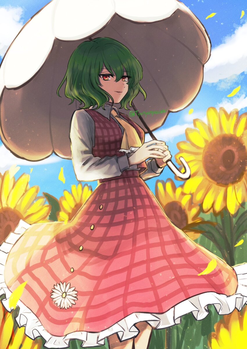 Kazami Yuuka (Touhou) Rule 34 Image