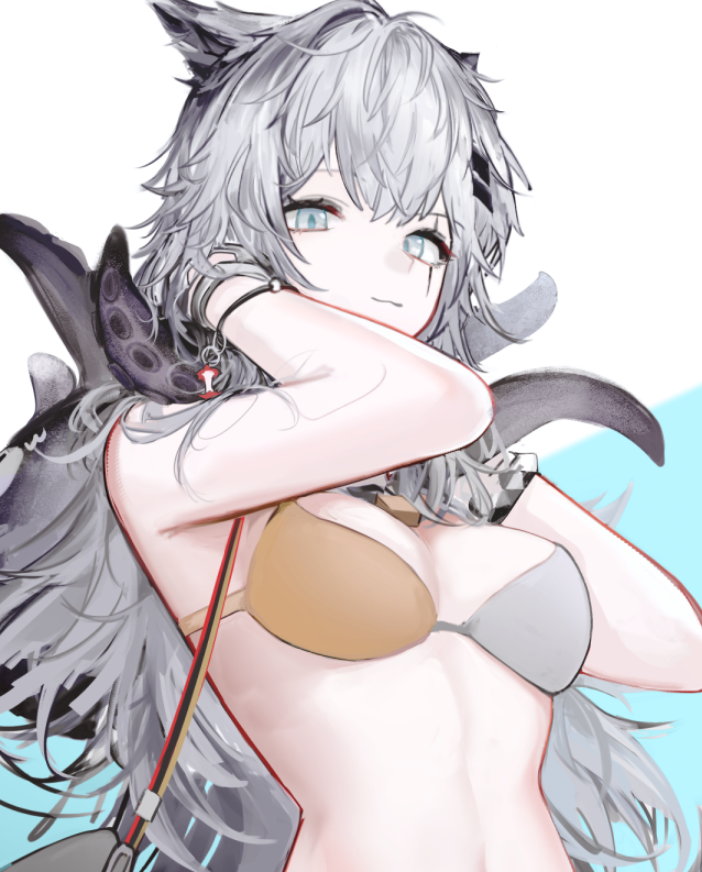 Lappland (Arknights) Rule 34 Image