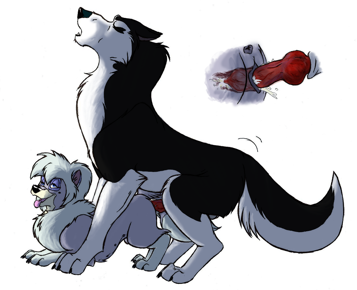 Dixie (Balto) Rule 34 Image