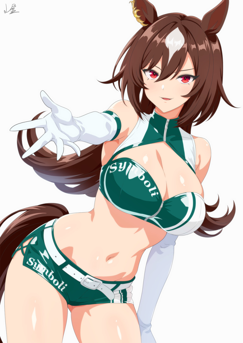 Sirius Symboli (Umamusume) Rule 34 Image