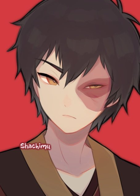Zuko (Avatar: The Last Airbender) Rule 34 Image