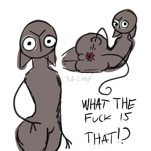 What The Fuck Is That!? (Ted-Simp) Rule 34 Image