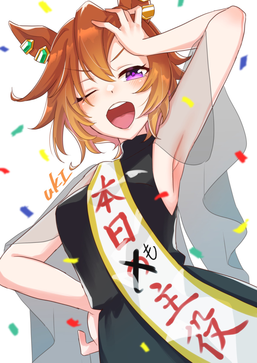 T.M. Opera O (Umamusume) Rule 34 Image