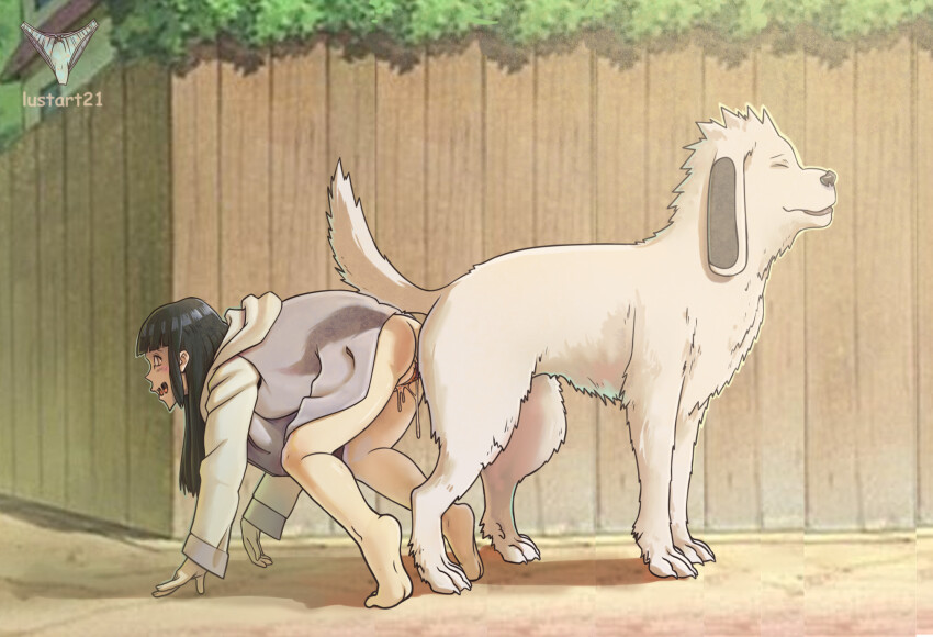 Akamaru (Naruto) Rule 34 Image