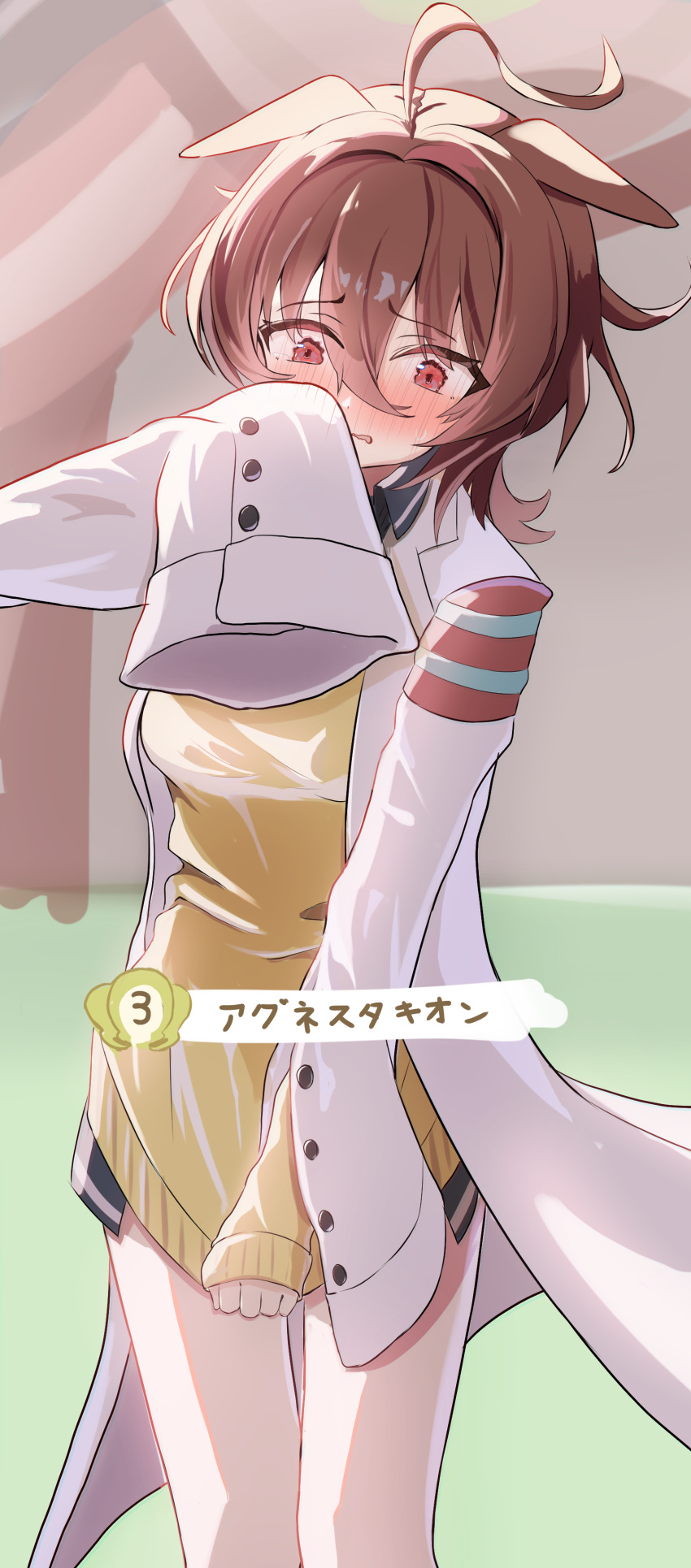Agnes Tachyon (Tach-Nology) (Umamusume) Rule 34 Image
