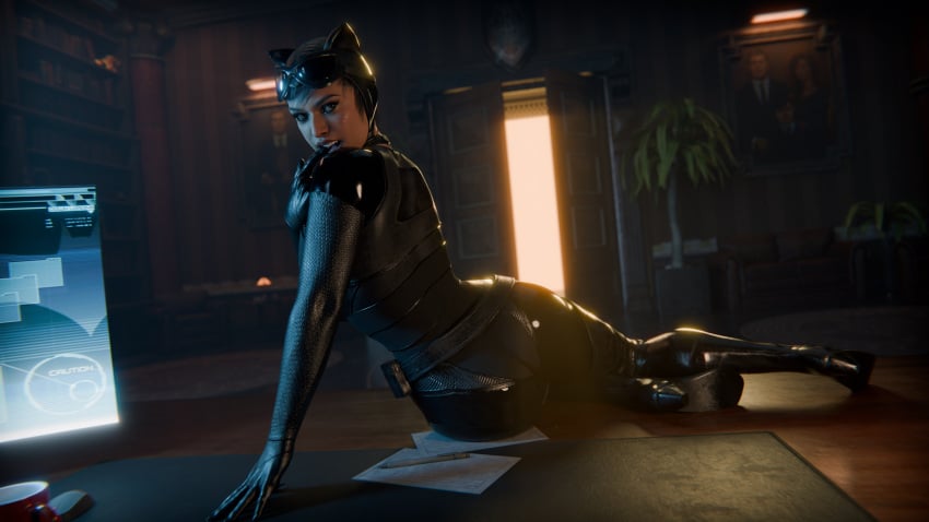 Catwoman (Batman (Series)) Rule 34 Image
