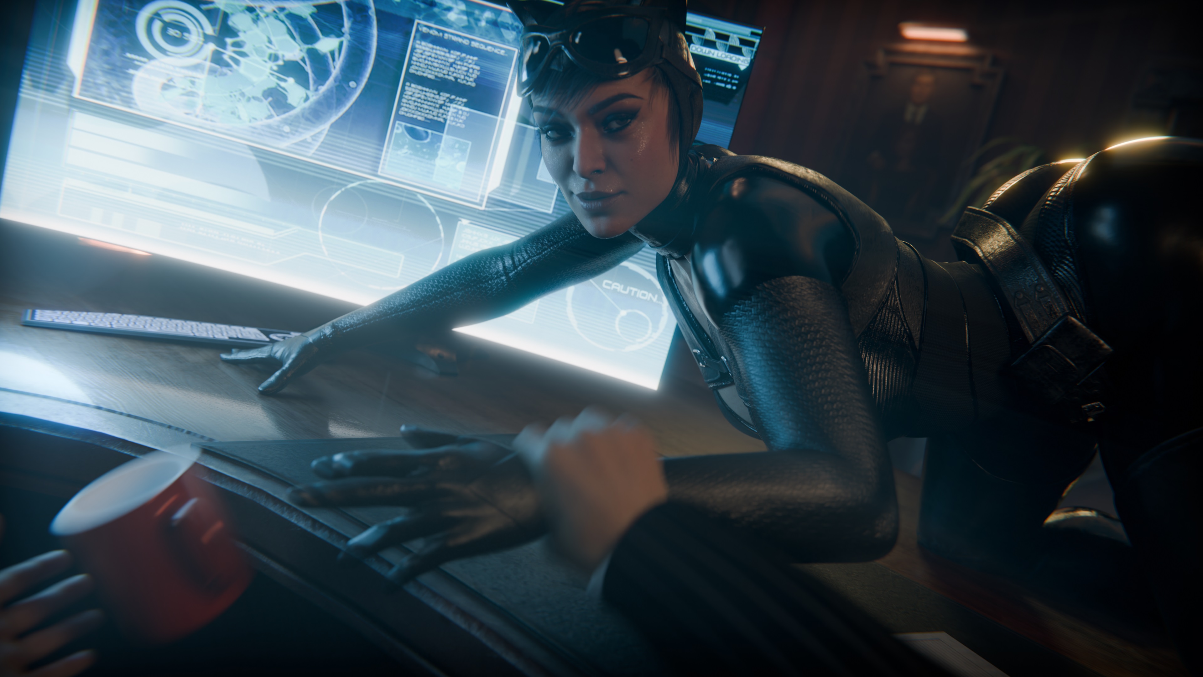 Catwoman (Batman (Series)) Rule 34 Image