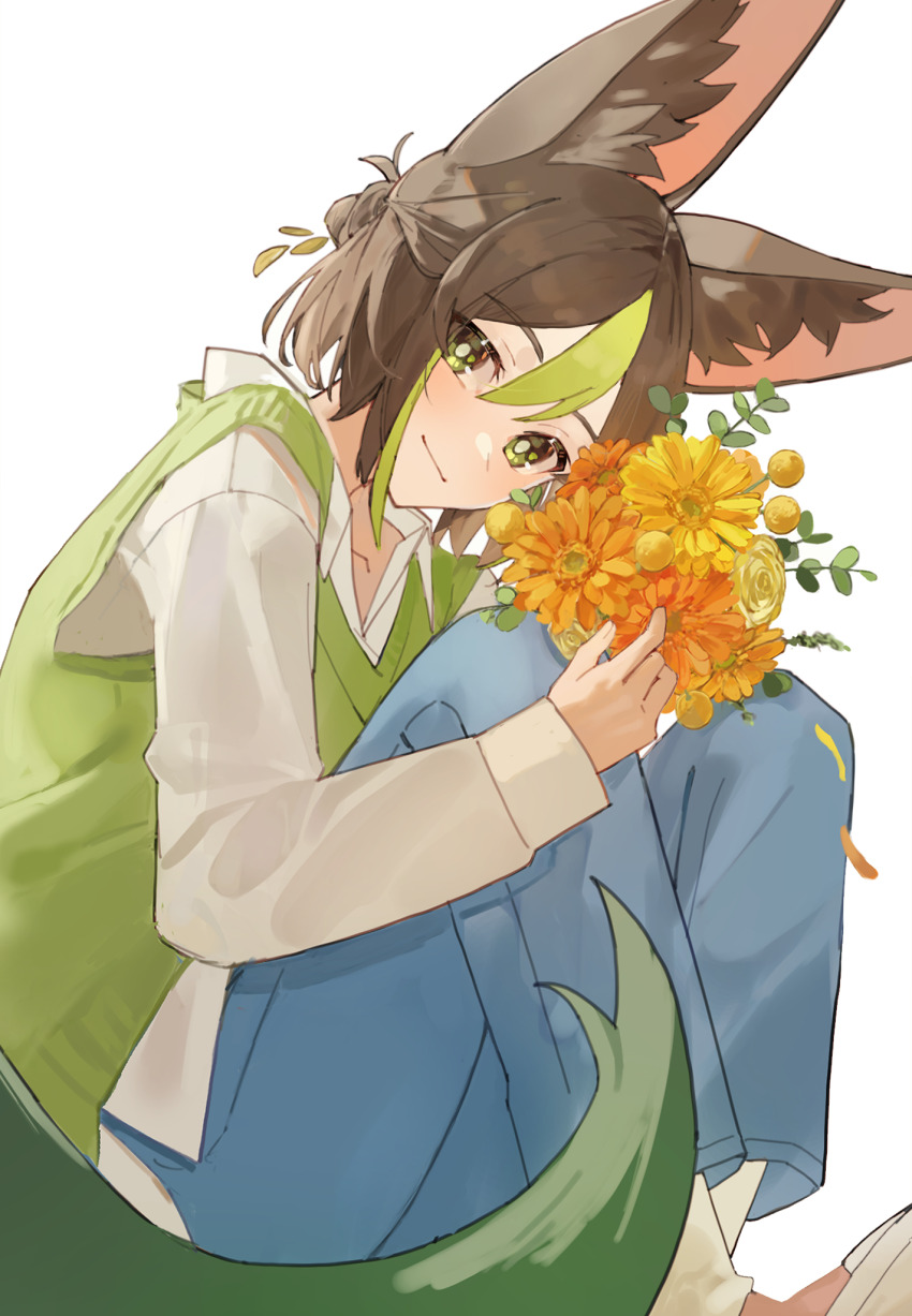 Tighnari (Genshin Impact) Rule 34 Image