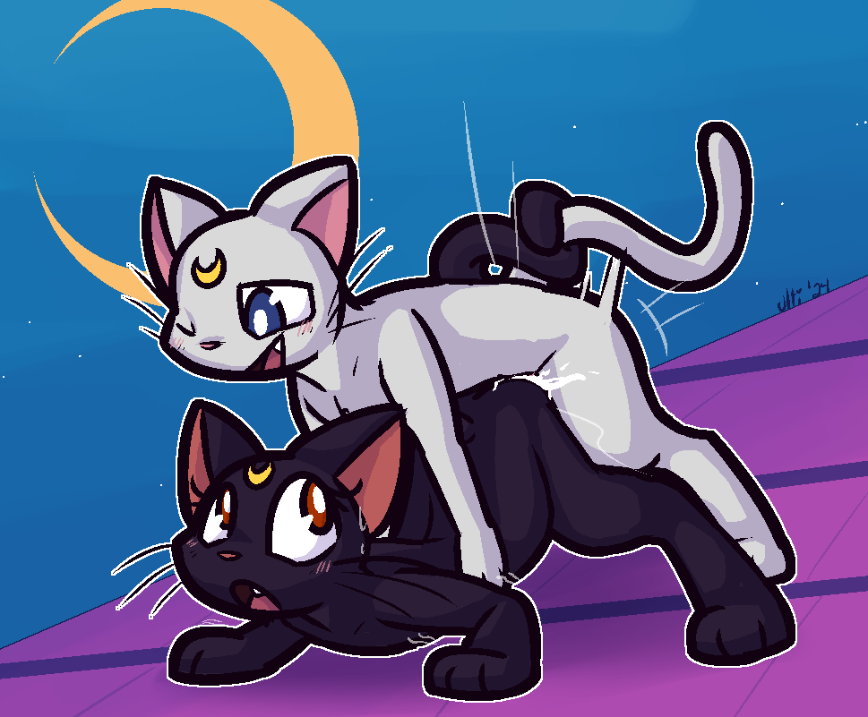 Artemis (Sailor Moon) Rule 34 Image