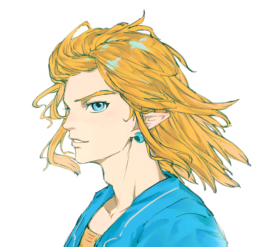 Link (Nintendo) Rule 34 Image