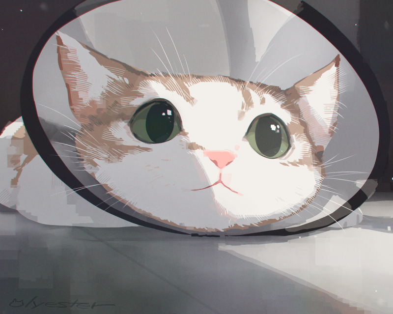 Original Rule 34 Image
