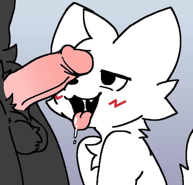 Boykisser Rule 34 Image