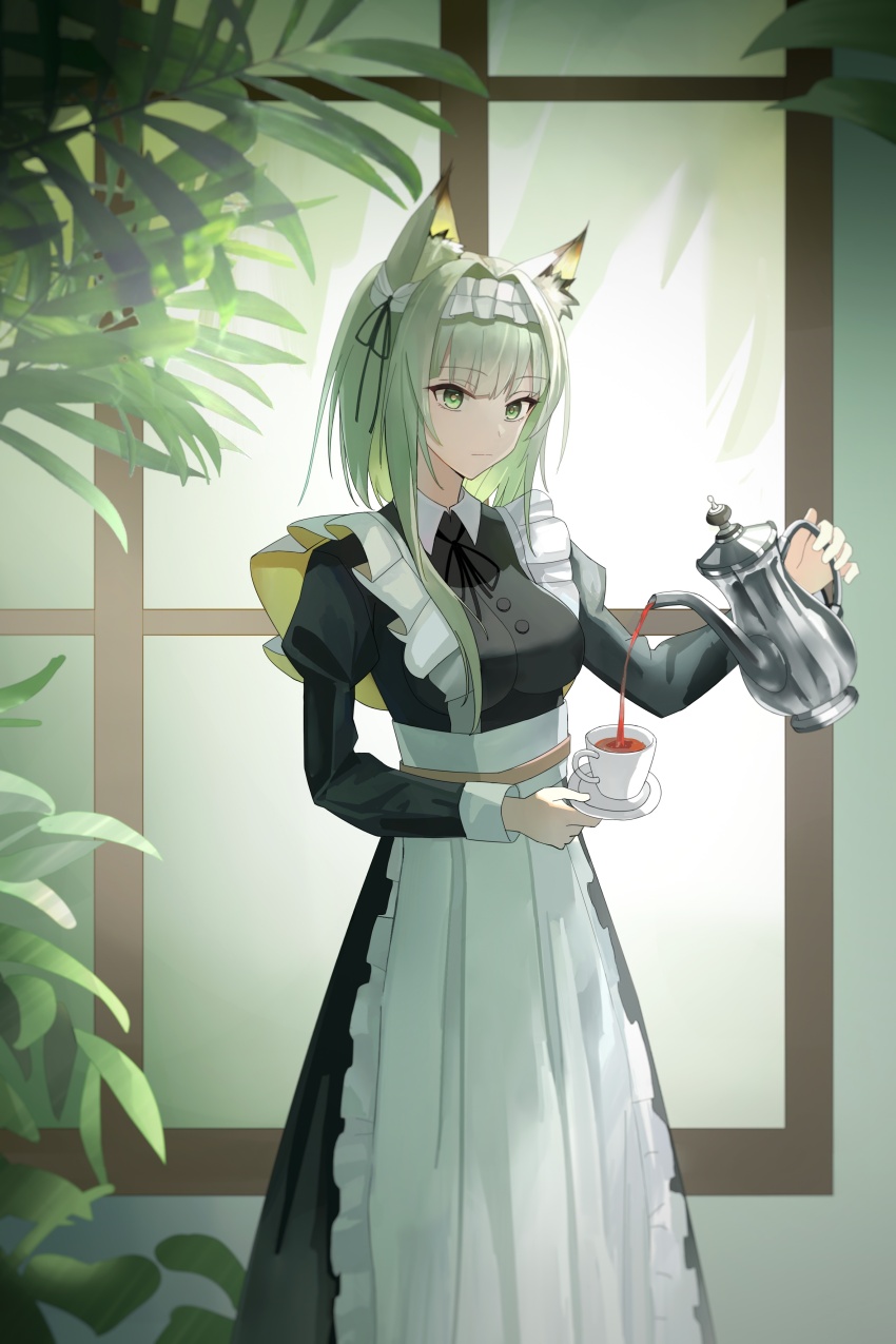 Kal'Tsit (Arknights) Rule 34 Image