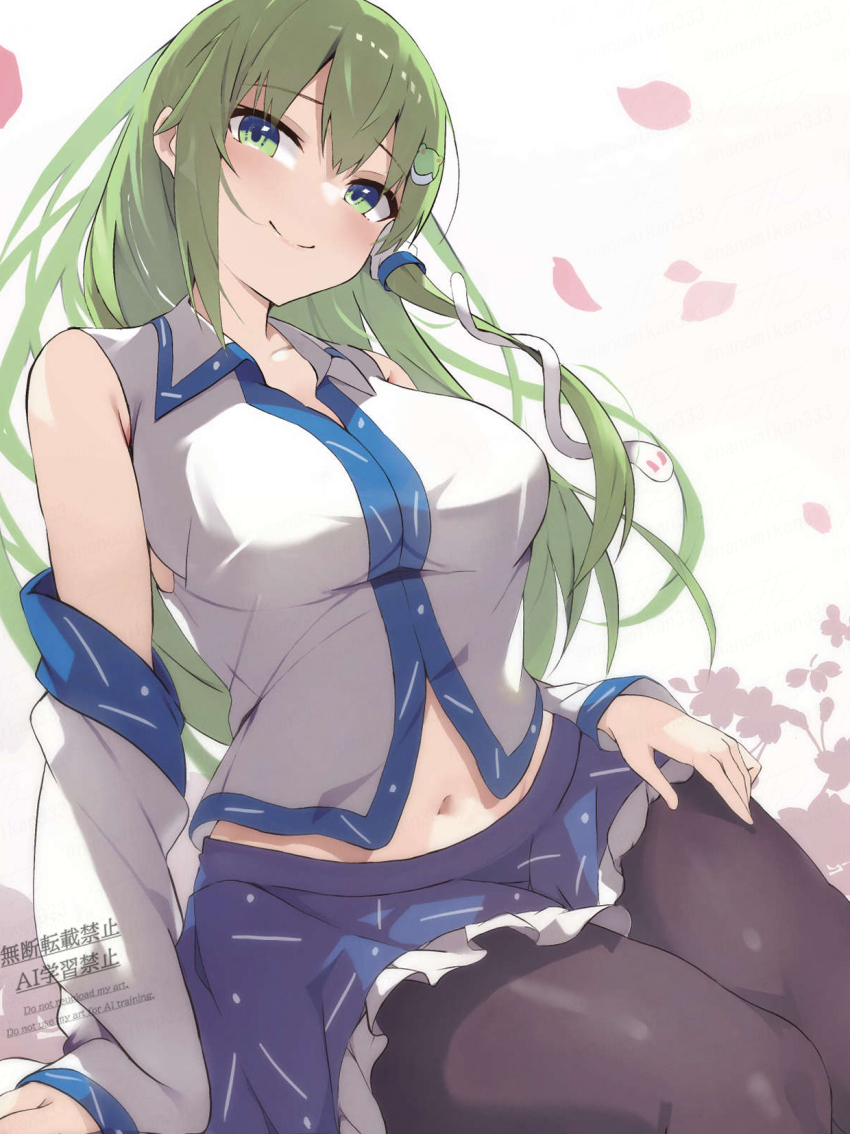 Kochiya Sanae (Touhou) Rule 34 Image