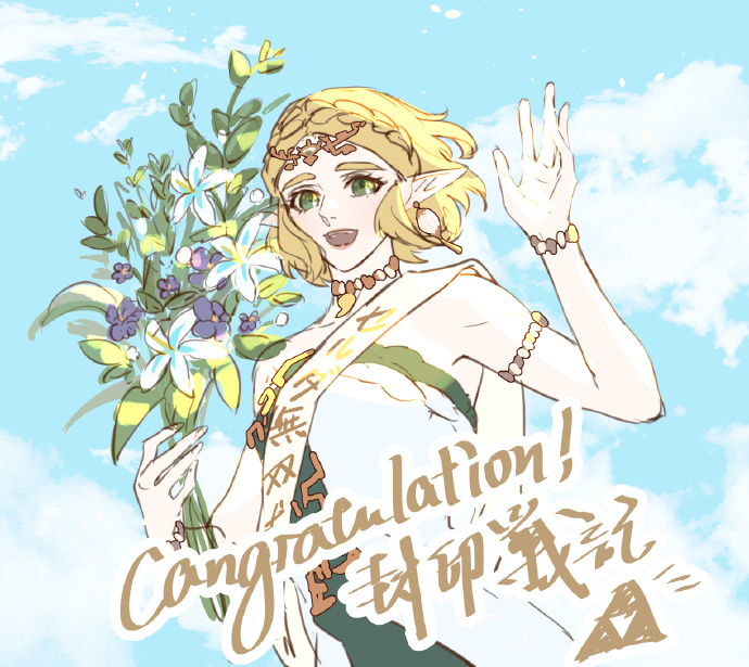 Princess Zelda (Nintendo) Rule 34 Image