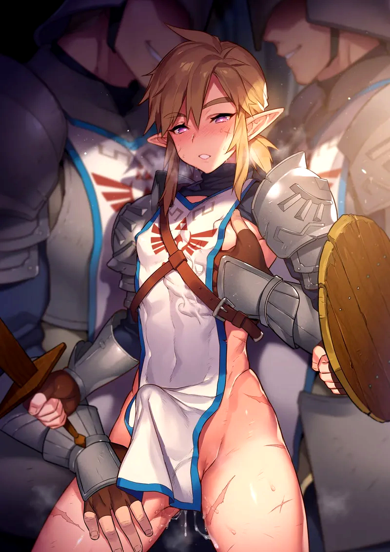 Link (Age Of Calamity) Rule 34 Image