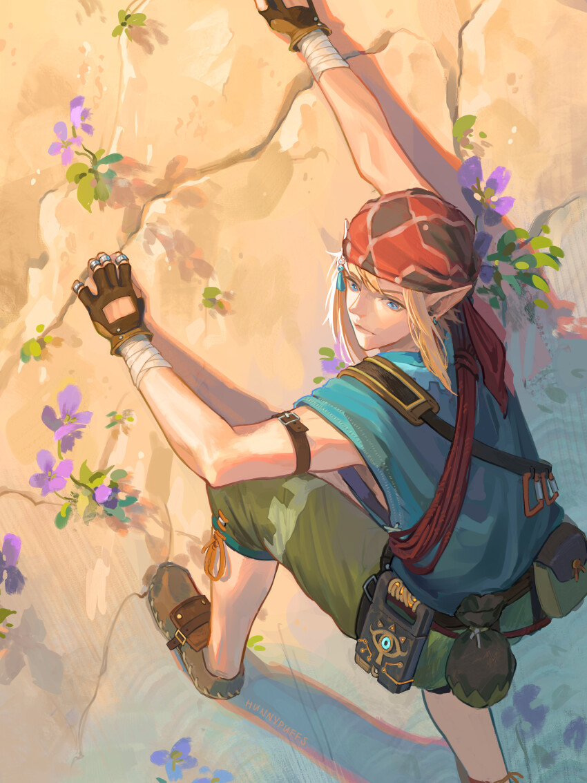 Link (Nintendo) Rule 34 Image