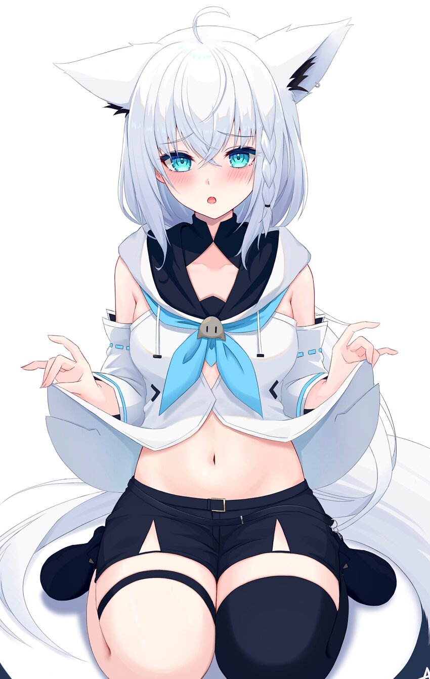 Shirakami Fubuki (Hololive) Rule 34 Image