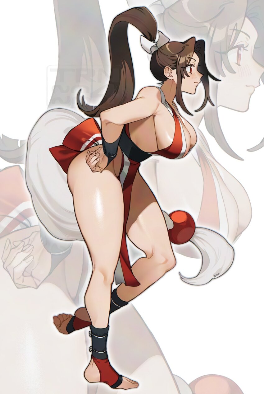 Fatal Fury Rule 34 Image