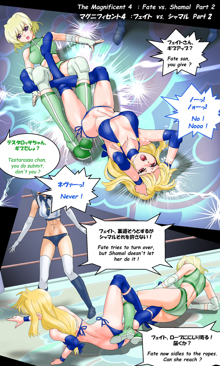 Fate Testarossa Rule 34 Image