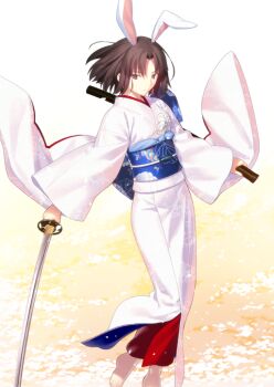 Fate (Series) Rule 34 Image