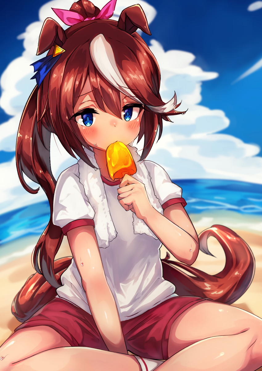 Tokai Teio (Umamusume) Rule 34 Image
