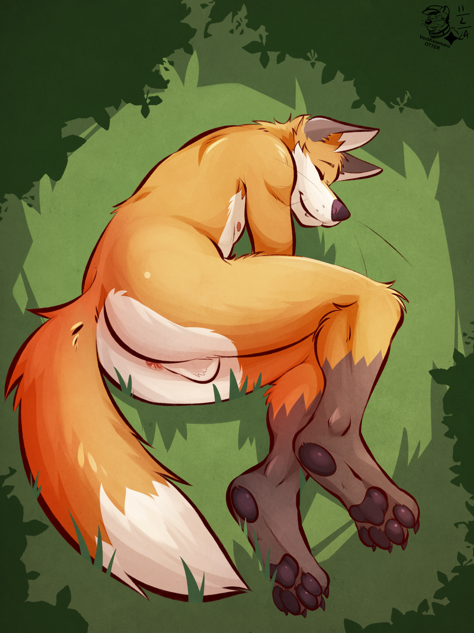 Socks (Marking) Rule 34 Image