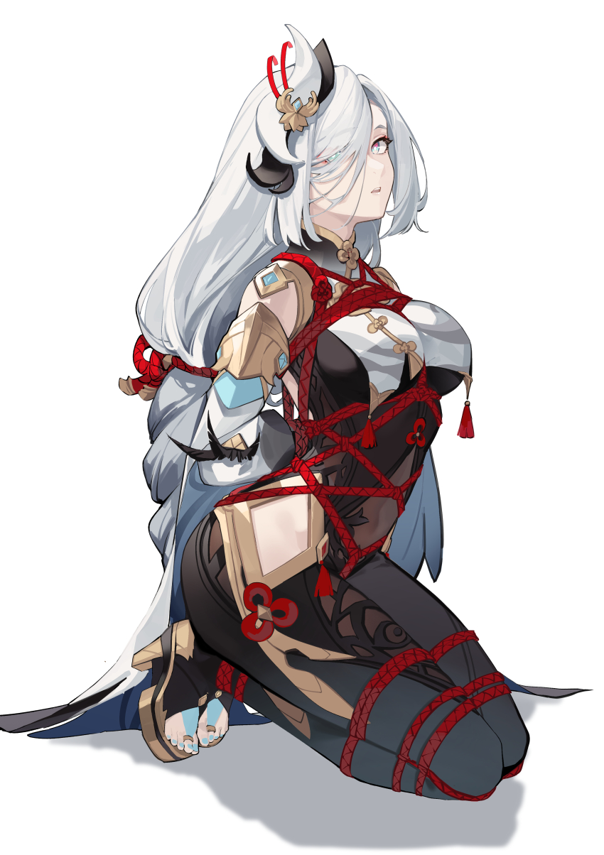 Shenhe (Genshin Impact) Rule 34 Image