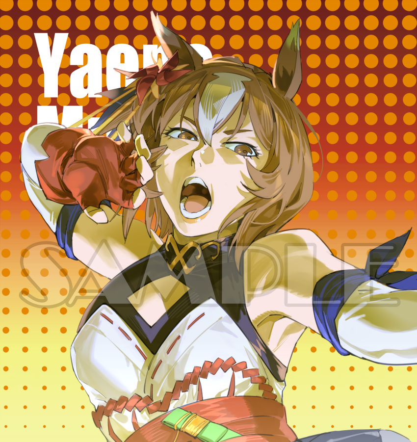 Yaeno Muteki (Umamusume) Rule 34 Image