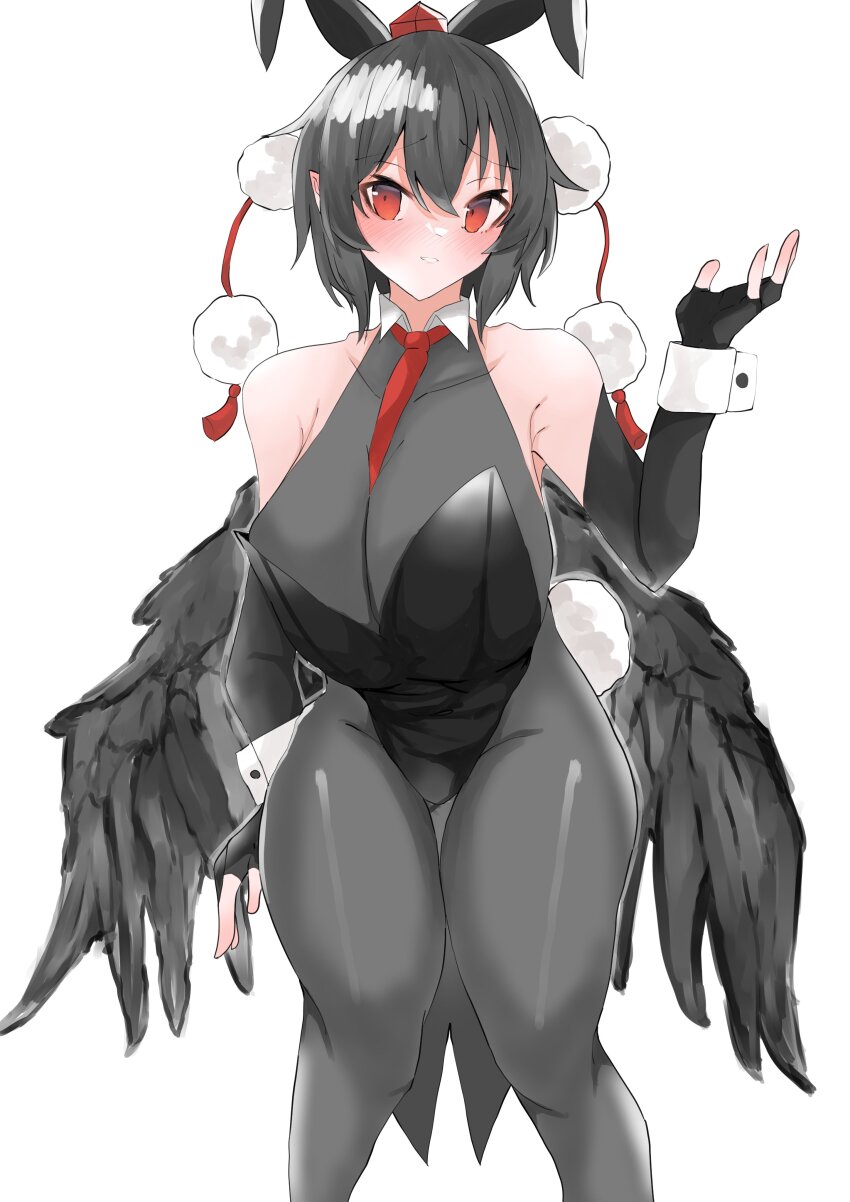 Shameimaru Aya (Touhou) Rule 34 Image