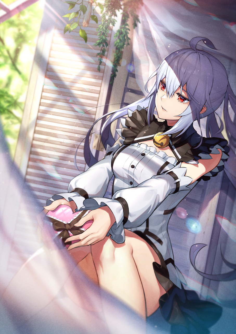 Matoi (Pso2) Rule 34 Image