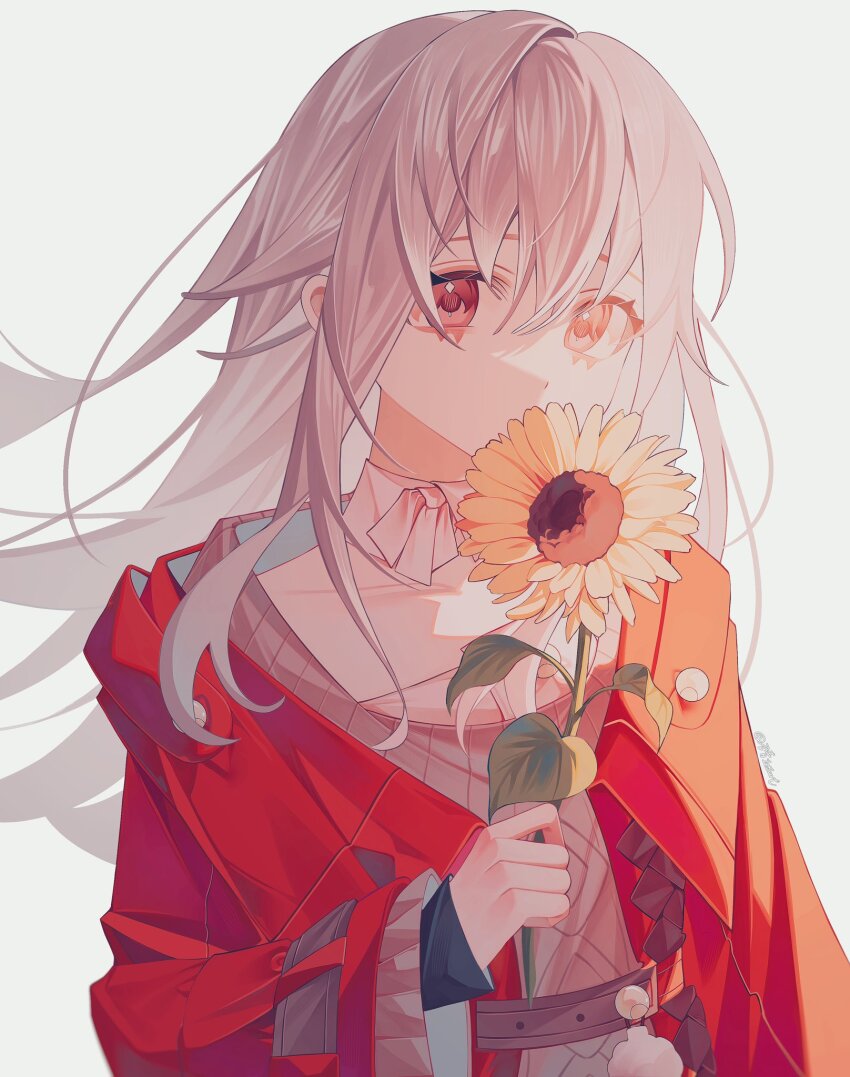 Clara (Honkai: Star Rail) Rule 34 Image