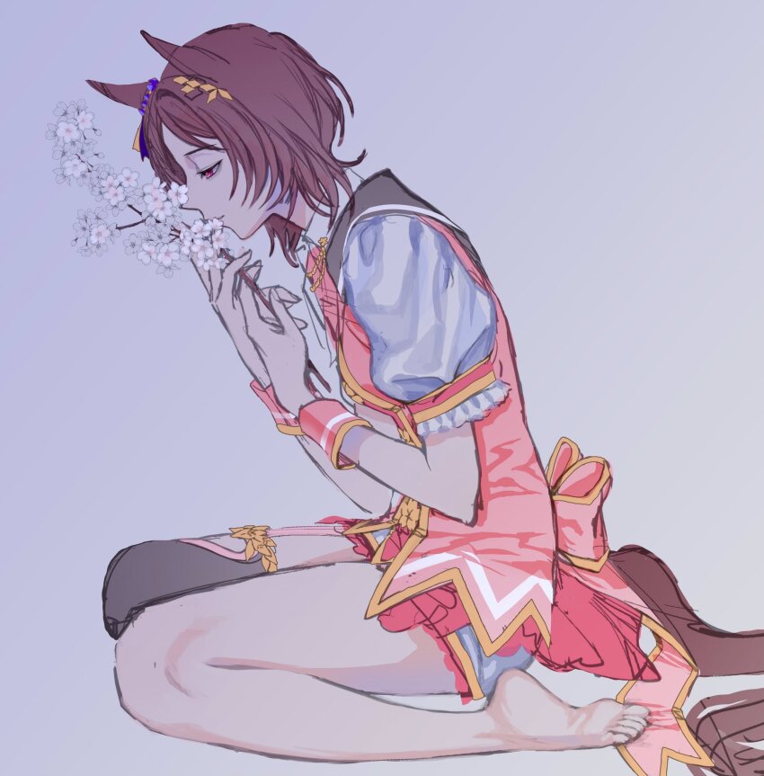Sakura Laurel (Umamusume) Rule 34 Image