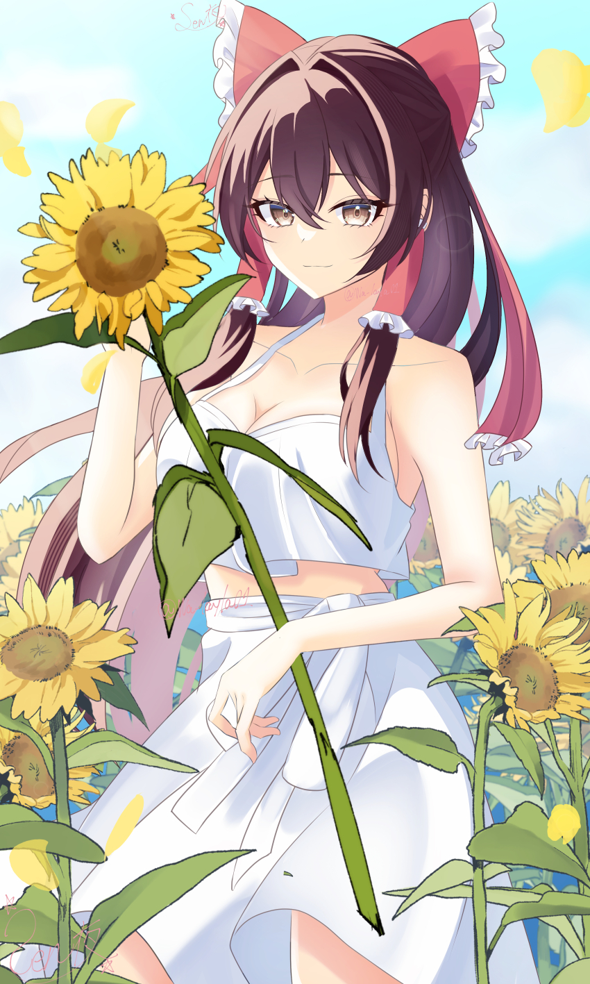 Hakurei Reimu (Touhou) Rule 34 Image