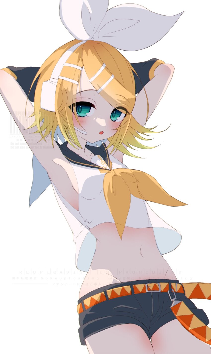 Kagamine Rin (Vocaloid) Rule 34 Image